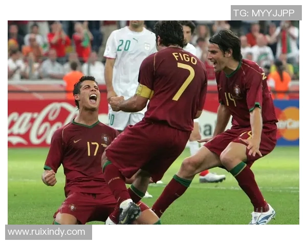 小罗退役背后揭示足球巨星的荣耀与孤独人生