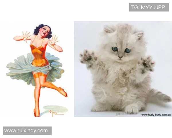 足球明星与他的猫咪生活揭秘：一段温馨有趣的宠物故事